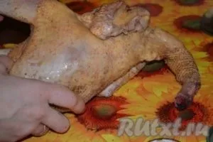 Домашня курка в рукаві в духовці - готуємо покроково з фото