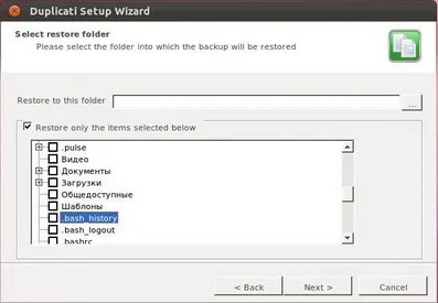 Домашній бекап в ubuntu