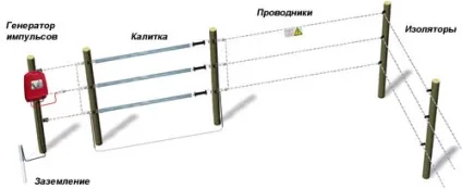 Дорпер порода овець - докладно про зміст, відхід, рентабельності! (Утриманні) Дорпер порода овець - докладно про зміст, відхід, рентабельності!