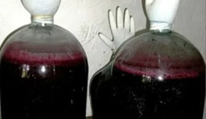 Домашнє вино з червоної смородини покрокові рецепти