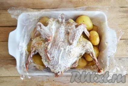 Домашня курка в рукаві в духовці - готуємо покроково з фото