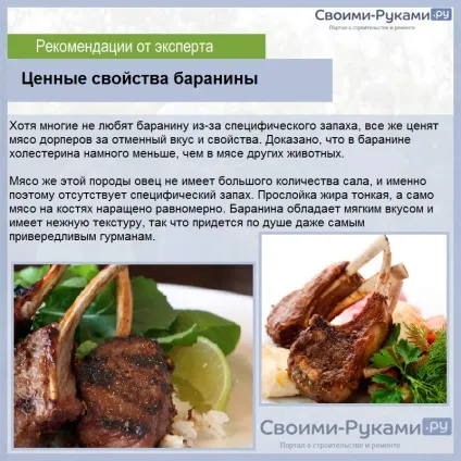 Дорпер порода овець - докладно про зміст, відхід, рентабельності! (Овець породи дорпер) Дорпер порода овець - докладно про зміст, відхід, рентабельності!