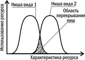 Екологія біологія взаємодії (ніші цих видів) Екологія біологія взаємодії