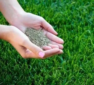 Екопарковка своїми руками на дачі як самостійно зробити укладку газонної решітки для паркування