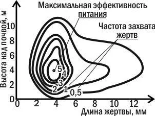 Екологія біологія взаємодії (поняття екологічної ніші) Екологія біологія взаємодії
