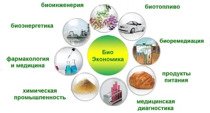 Екологічні бізнес ідеї і проекти