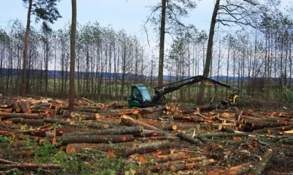 Екологічні проблеми вУкаіни коротко, еко проблеми вУкаіни (видів флори фауни) Екологічні проблеми вУкаіни коротко, еко проблеми вУкаіни