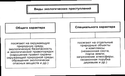 Екологічні бізнес ідеї і проекти