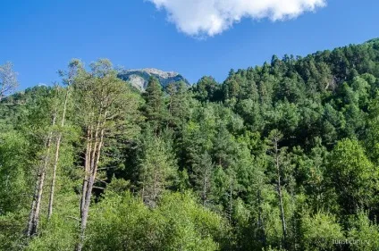 Екскурсія на Ельбрус, Чегет і галявину нарзанов, Приельбруссі
