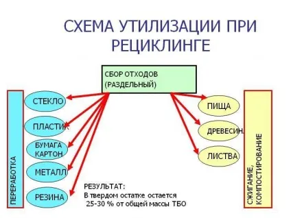 Екологічний бізнес