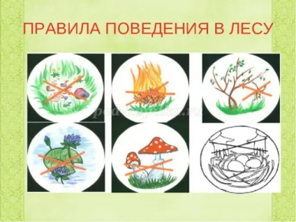 Екологічні вірші про захист природи для дітей старшої групи (правила поведінки лісі) Екологічні вірші про захист природи для дітей старшої групи