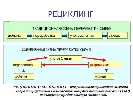 Екологічний бізнес