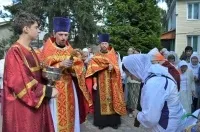 моя зоря