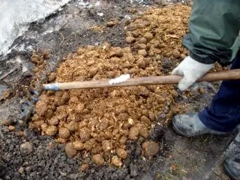 мульчування троянд