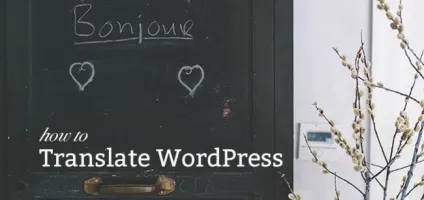 Багатомовний сайт на wordpress 9 корисних плагінів для перекладу (wordpress плагіни) Багатомовний сайт на wordpress 9 корисних плагінів для перекладу