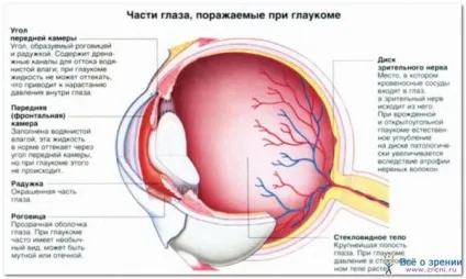 Чи можна вилікувати глаукому лікування і профілактика, симптоми у людей похилого віку, народними засобами і (лікування) Чи можна вилікувати глаукому лікування і профілактика, симптоми у людей похилого віку, народними засобами і