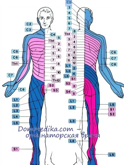 Порушення чутливості шкіри