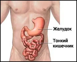 Ентерит, симптоми і народні засоби леченіяентеріта