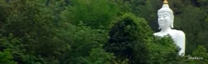 Екзотичні фрукти