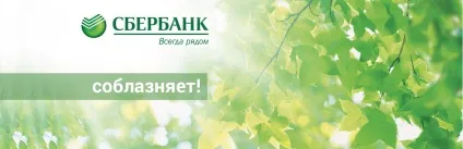 Елвіз електронна візитна карта з usb-модулем (карта) Елвіз електронна візитна карта з usb-модулем