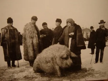 Це не те що ви подумали () Це не те що ви подумали