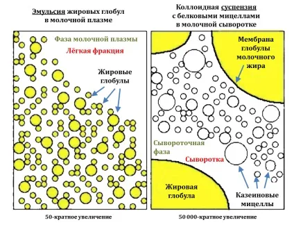 Ще раз про «передньому» і «задньому» молоці - годуємо грудьми своїх малюків! ( «Дисбалансом переднього заднього молока») Ще раз про «передньому» і «задньому» молоці - годуємо грудьми своїх малюків!