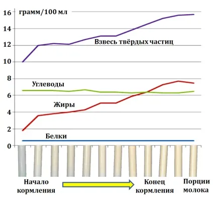 Ще раз про «передньому» і «задньому» молоці - годуємо грудьми своїх малюків! (Передньому) Ще раз про «передньому» і «задньому» молоці - годуємо грудьми своїх малюків!