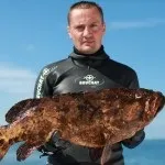 Фауна (мешканці) червоного моря