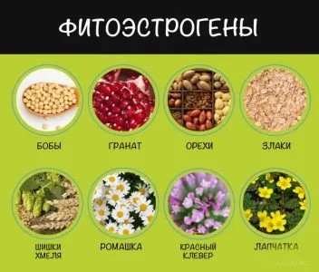 Фітоестрогени для жінок після 40 - препарати (фітоестрогени) Фітоестрогени для жінок після 40 - препарати