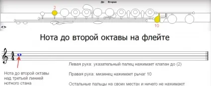 Флейта для початківців