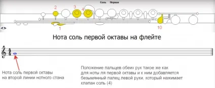 Флейта для початківців