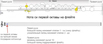 Флейта для початківців