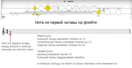 Флейта для початківців