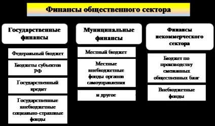Фінанси державного і муніципального сектора як ресурсний потенціал - студопедія (школопедія) Фінанси державного і муніципального сектора як ресурсний потенціал - студопедія