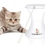 Гаджет для кота