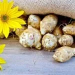 Фруктоза замість цукру користь і шкода, що це таке, для діабетиків (застосування фруктози) Фруктоза замість цукру користь і шкода, що це таке, для діабетиків