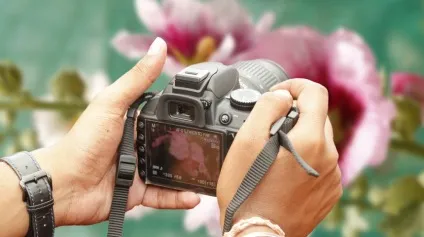 Фотографуємо квіти як зробити ідеальний знімок, натхнення () (як фотографувати) Фотографуємо квіти як зробити ідеальний знімок, натхнення ()