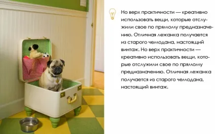 Фото незвичайних будок для собак (собак) Фото незвичайних будок для собак
