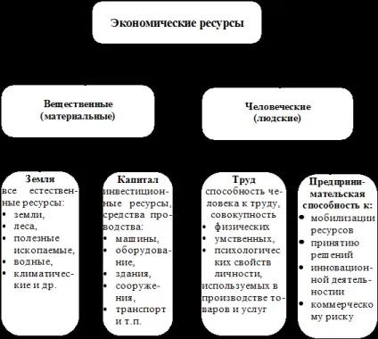 Функція міра вартості - економічна теорія (курсова) Функція міра вартості - економічна теорія