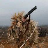 Де летить гусак