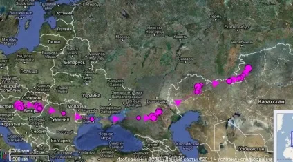 Де летить гусак