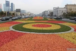 Міські квітники і клумби