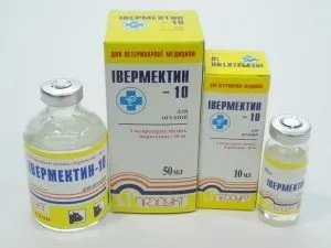 Глисти у кроликів симптоми і лікування, як і чим лікувати (глисти) Глисти у кроликів симптоми і лікування, як і чим лікувати
