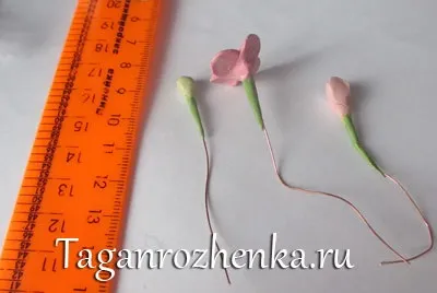 Гортензія з холодного фарфору (холодний фарфор) Гортензія з холодного фарфору