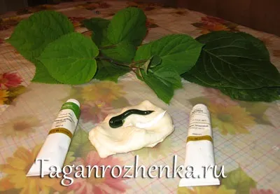 Гортензія з холодного фарфору (рукоділля) Гортензія з холодного фарфору