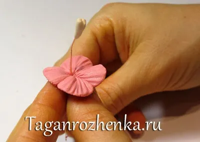 Гортензія з холодного фарфору (рукоділля) Гортензія з холодного фарфору