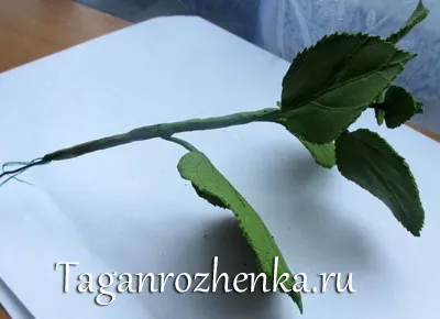 Гортензія з холодного фарфору (гортензія) Гортензія з холодного фарфору