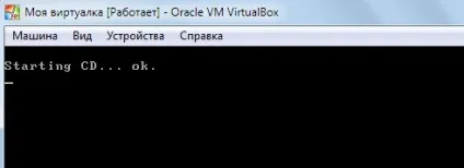 Гостьова ос