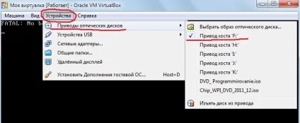 Гостьова ос