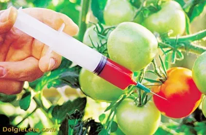 ГМО - розшифровка абревіатури, що це таке (генетично модифіковані організми) ГМО - розшифровка абревіатури, що це таке
